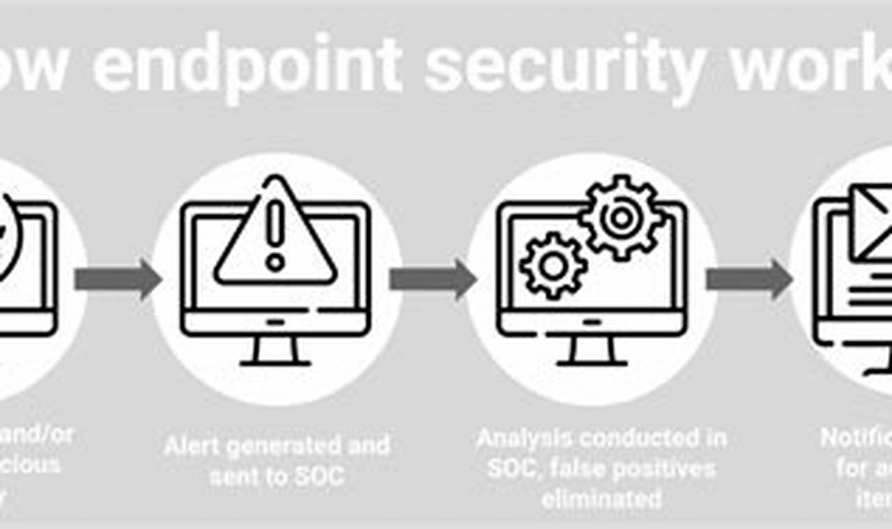 Secure Your Endpoints: A Comprehensive Guide to Endpoint Risk Management