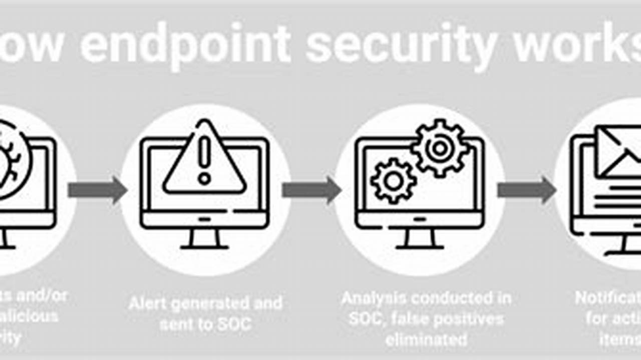 Secure Your Endpoints: A Comprehensive Guide to Endpoint Risk Management