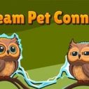 dream-pet-connect
