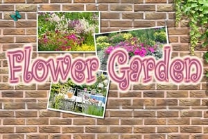 flower-garden
