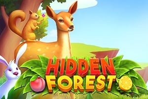 hidden-forest